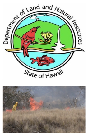Behind the Lines at a Hawaiʻi Wildfire on Vimeo