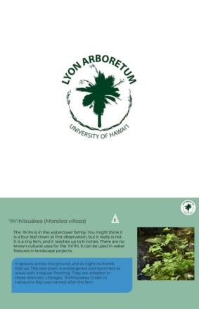 Endemic, Indigenous, or Non-Native Lyon Arboretum