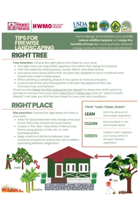 Firewise Tree Care Flier Department of Land and Natural Resources