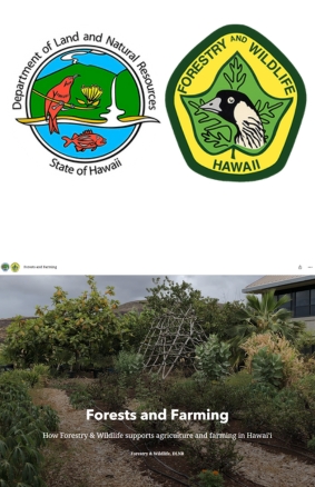 Forests and Farming Department of Forestry and Wildlife
