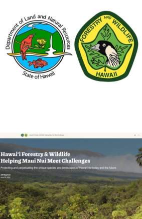 Hawai‘i Forestry & Wildlife Helping Maui Nui Meet Challenges Department of Forestry and Wildlife
