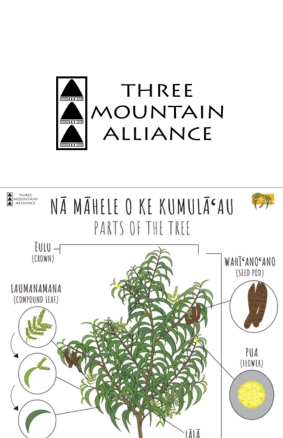 Koa Three Mountain Alliance