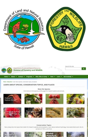 Learn about species, conservation topics, and places Department of Land and Natural Resources