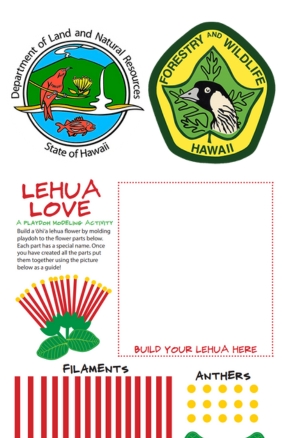 Lehua Love Department of Forestry and Wildlife