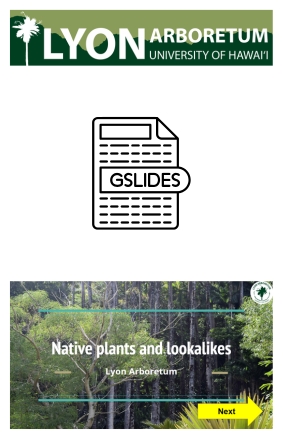 Lyon Arboretum - Let's Talk Native Plants! (1)