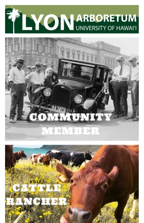 Lyon’s Dilemma – Environmental History & Debate Lesson Plan