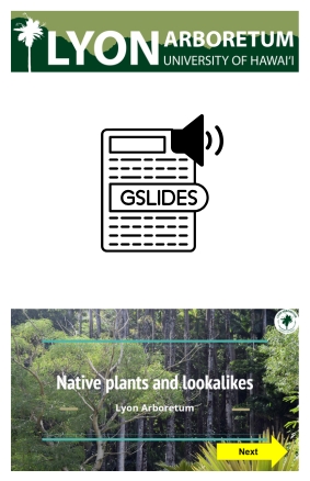 Lyon Arboretum - Let's Talk Native Plants! (With Audio)