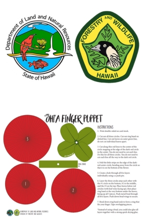 Ohi‘a Finger Puppet Department of Forestry and Wildlife (1)