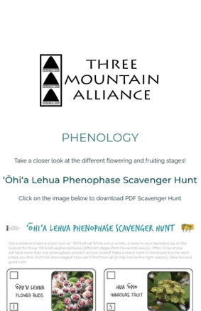 Phenology Three Mountain Alliance