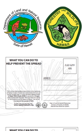 ROD Postcard Department of Forestry and Wildlife