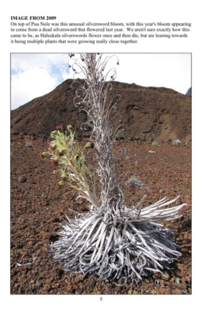 Starr Environmental - 2009 Annual Silversword Census Update