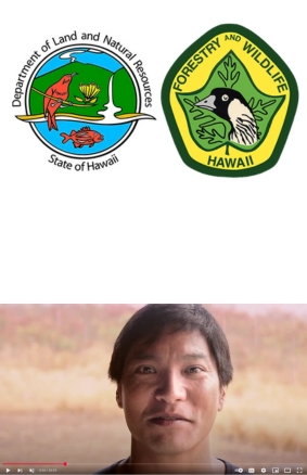 The Rain Follows The Forest Department of Land and Natural Resources