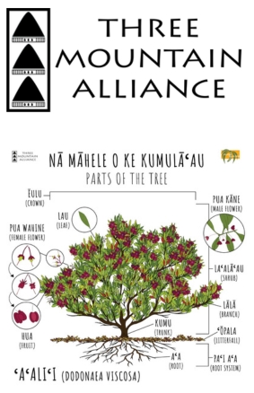 ʻAʻaliʻi - Three Mountain Alliance