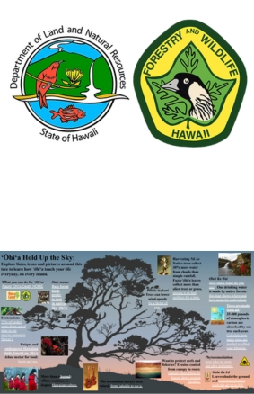 ʻŌhiʻa Hold Up the Sky Department of Forestry and Wildlife