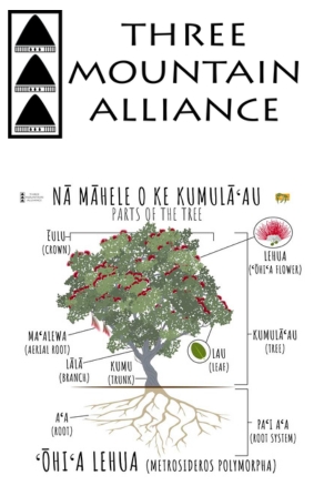 ʻŌhiʻa Lehua - Three Mountain Alliance