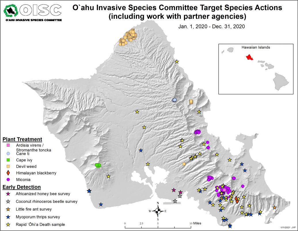 202101011-HISC-report-2020-1