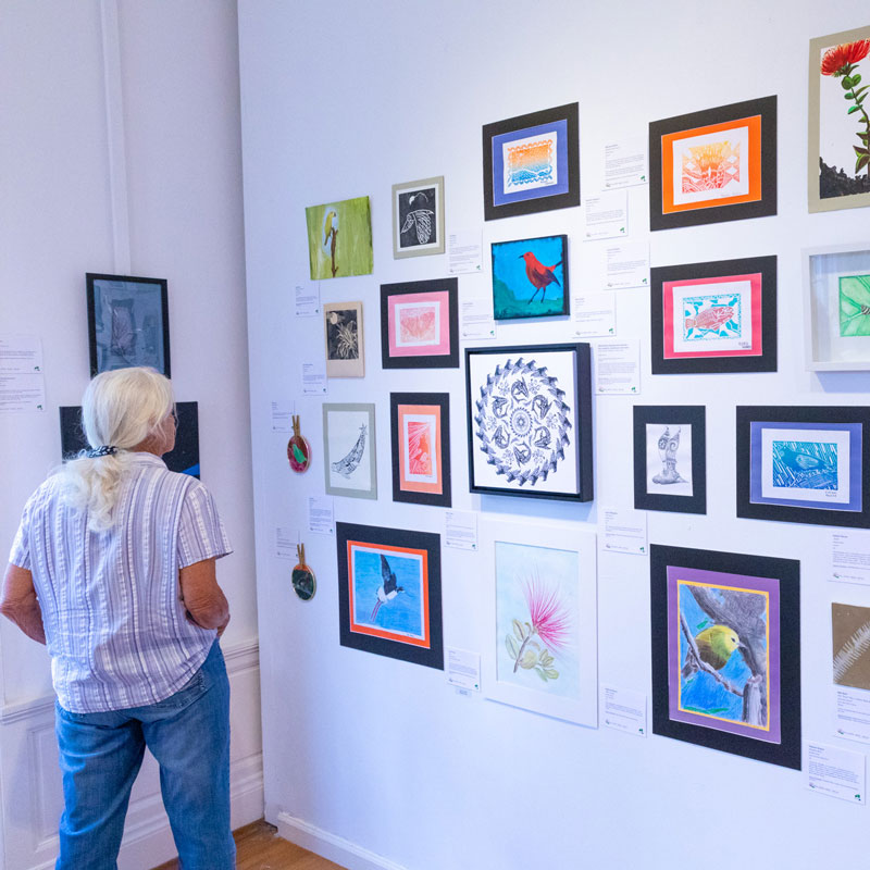 TipsForTeachersMWA-800