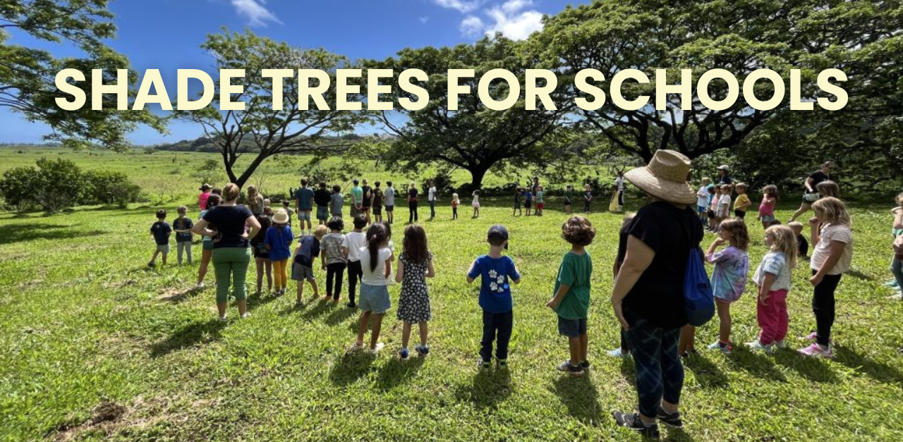 Your-paragraph-text-e1738724560759